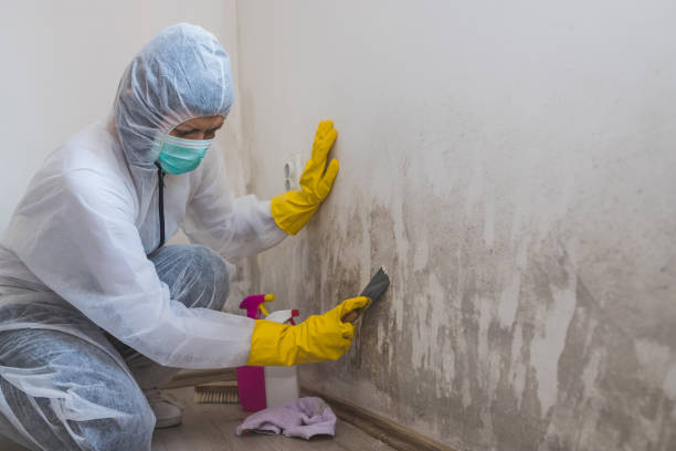 Mold Remediation for Rental Properties in Fairmont, NC
