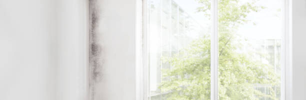 Forensic Mold Investigation in Fairmont, NC
